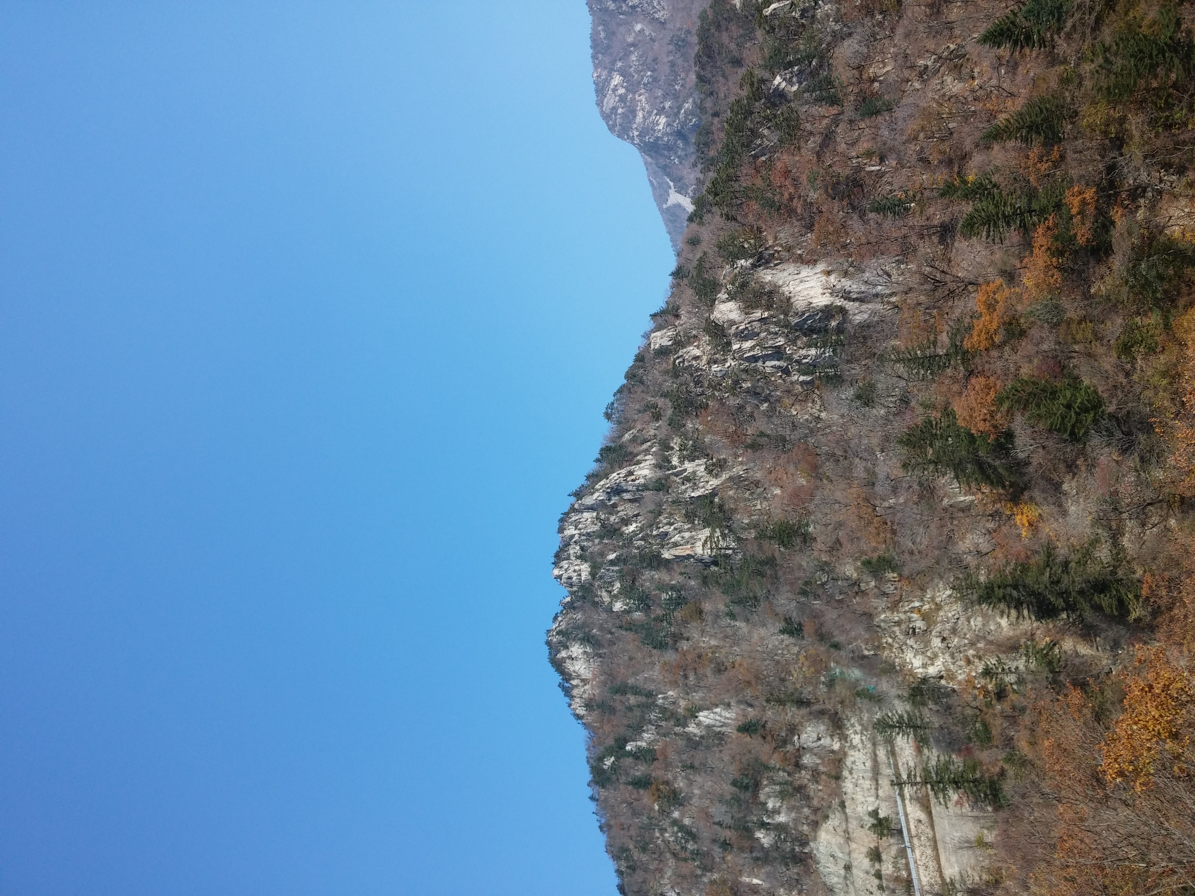 20141018_104533.jpg